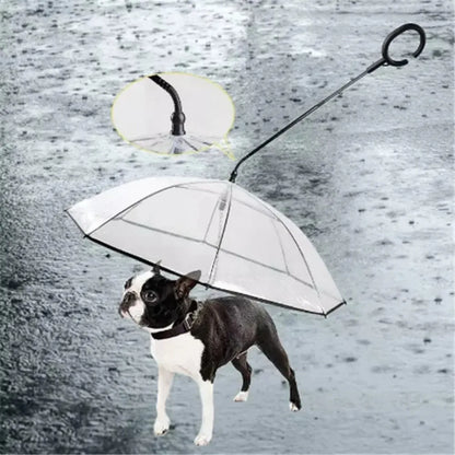 Transparent Dog Rain Umbrella – Detachable & Adjustable Pet Leash for Small Dogs