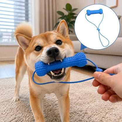 1/2/4PCS Pet Dental Care Chew Toy Silicone Dog Toothbrush Stick with Fixed Lanyard Interactive Tugging Toy for Dog Teeth Clean